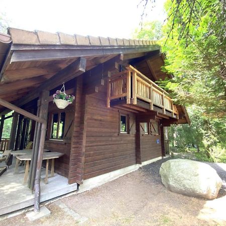 LE RENARD Chalet en bois La Bresse Extérieur photo