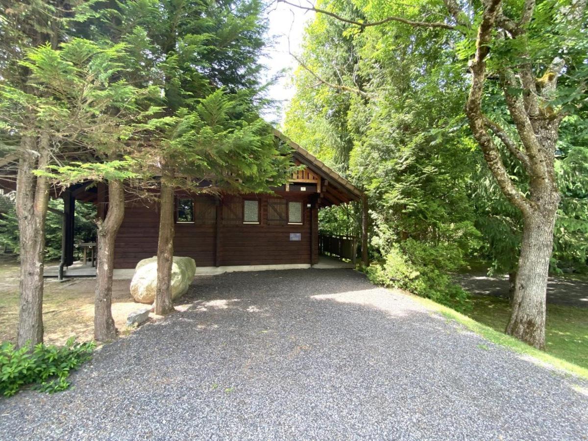 LE RENARD Chalet en bois La Bresse Extérieur photo